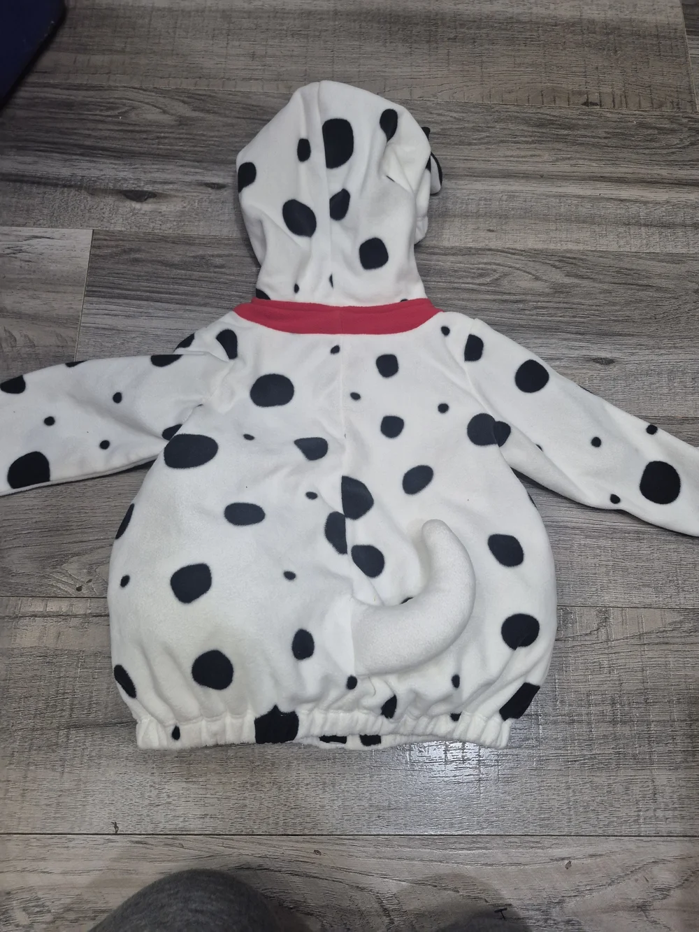 Carters dalmatian themed